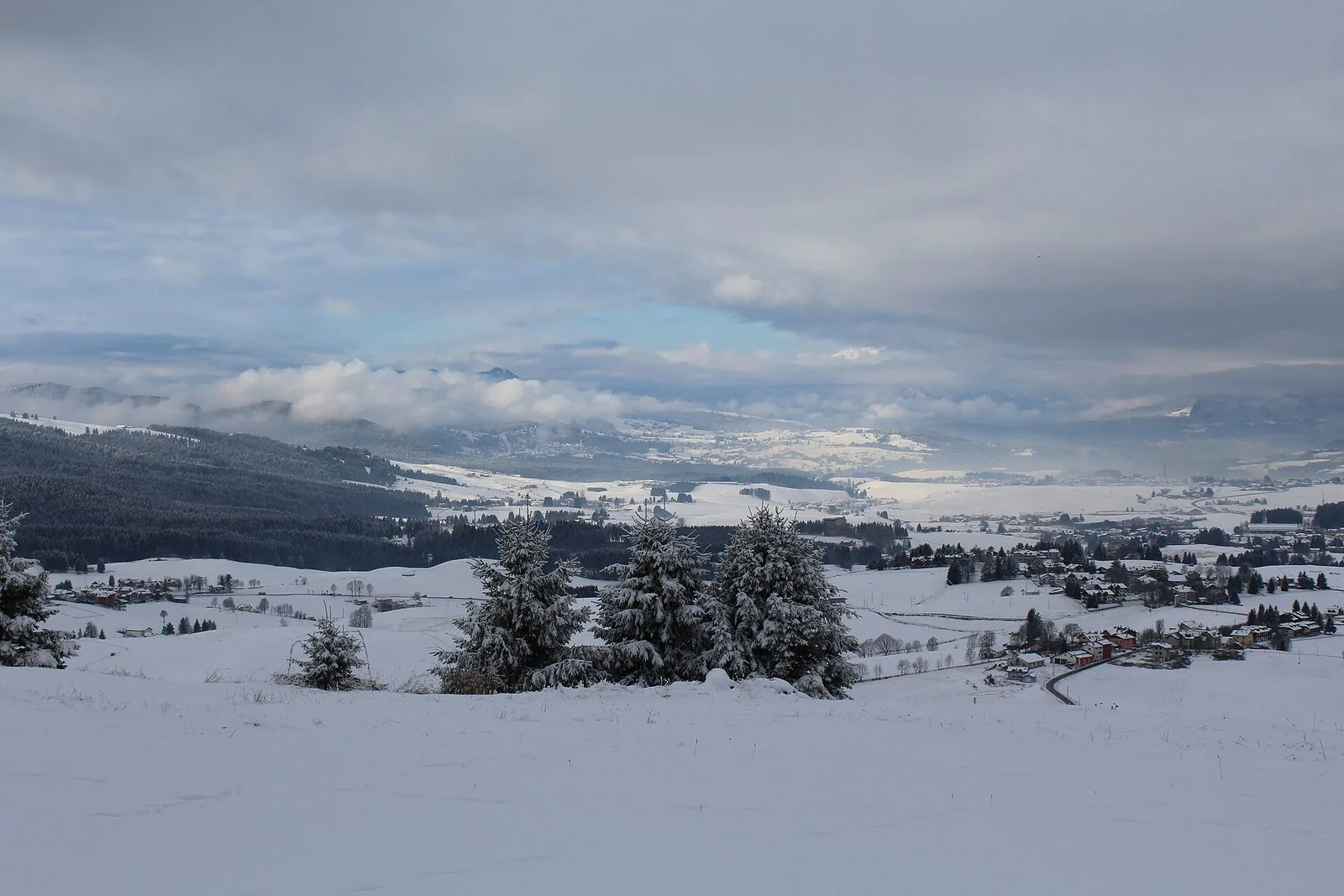 La conca di Asiago coperta di neve vista dall'alto, con abeti innevati in primo piano e nuvole basse sulle montagne