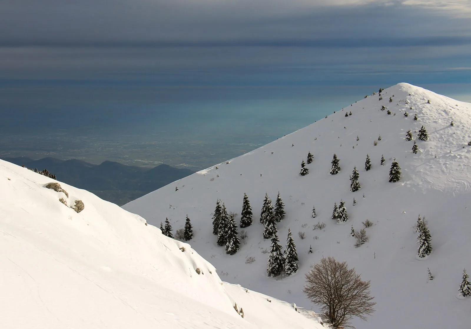 Pendii innevati del massiccio del Grappa con abeti sparsi, affacciati sulla pianura veneta sotto un cielo invernale