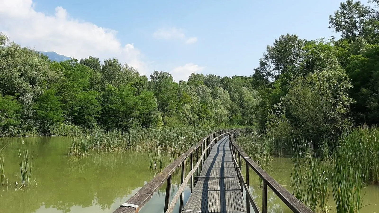 Le Fate Corbezzole, 